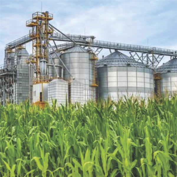 Agriculture Packaging Industry